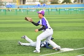 FIFPRO：FIFA对马来西亚违规归化球员禁赛一年的判决不公正