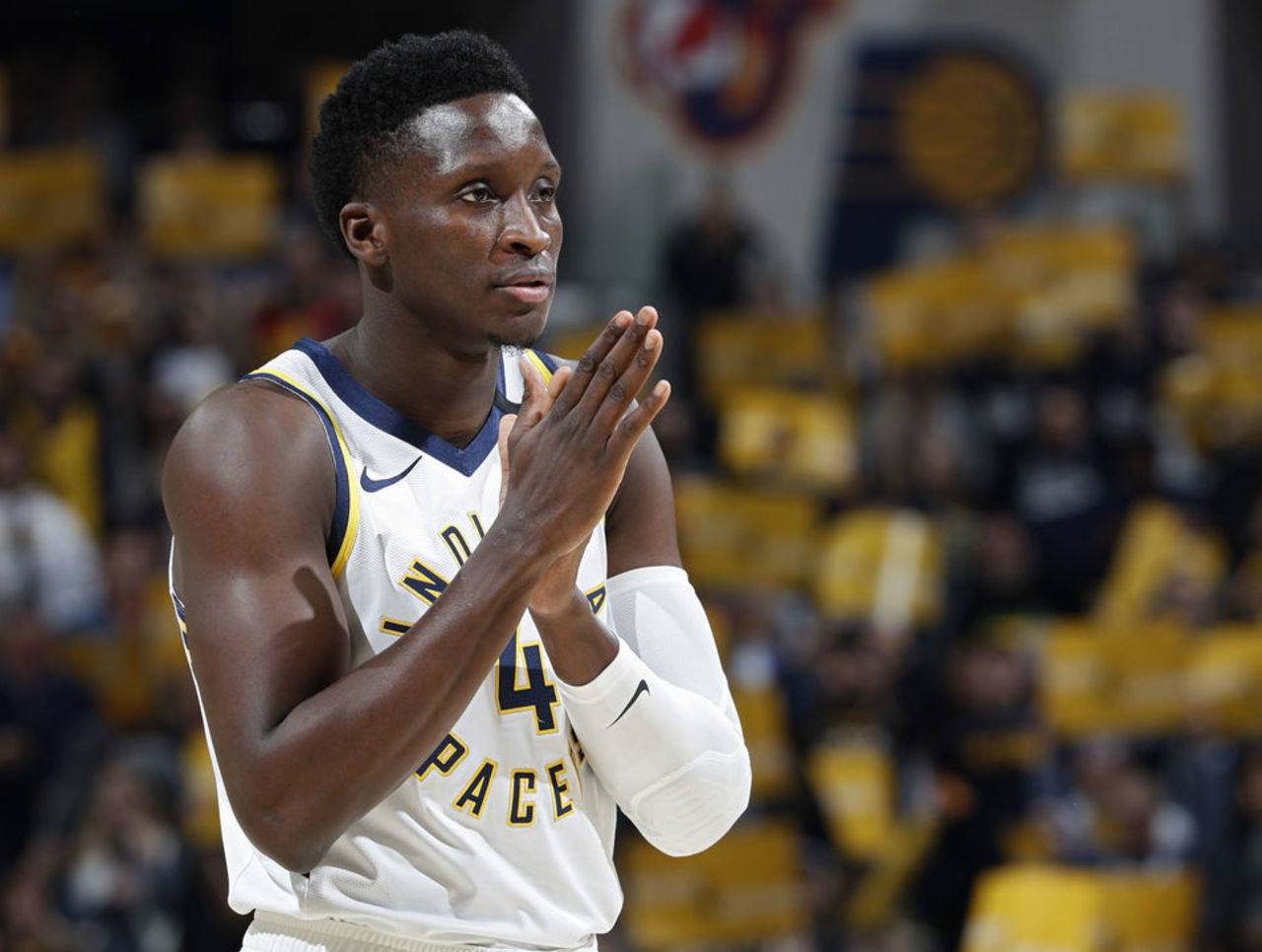 和充足的体 和充足的体